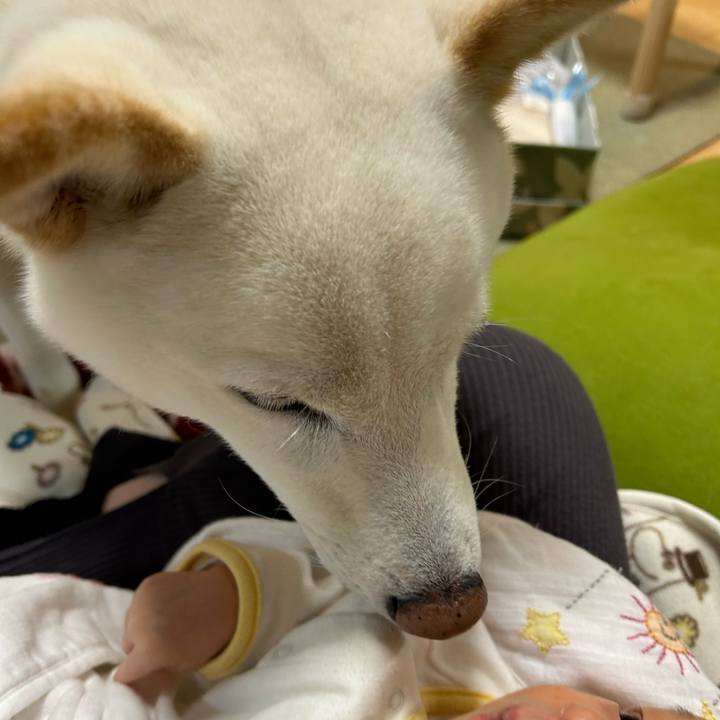 B4fc3260 c62e 4c7a ab00 6bd6c939d915 1700478864614