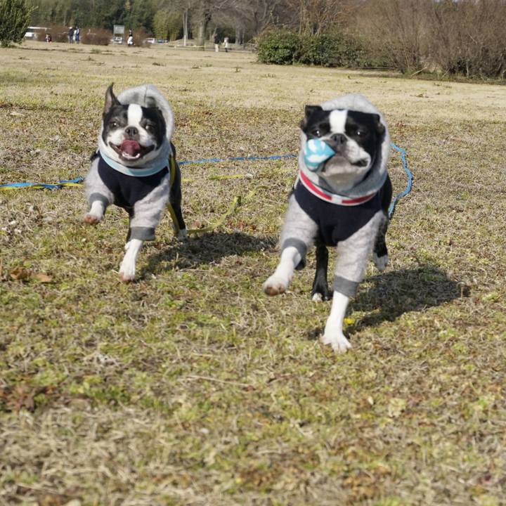 B4fc5b15 c1c7 4c0f 860f 986d9bdaeaeb 1518426920800