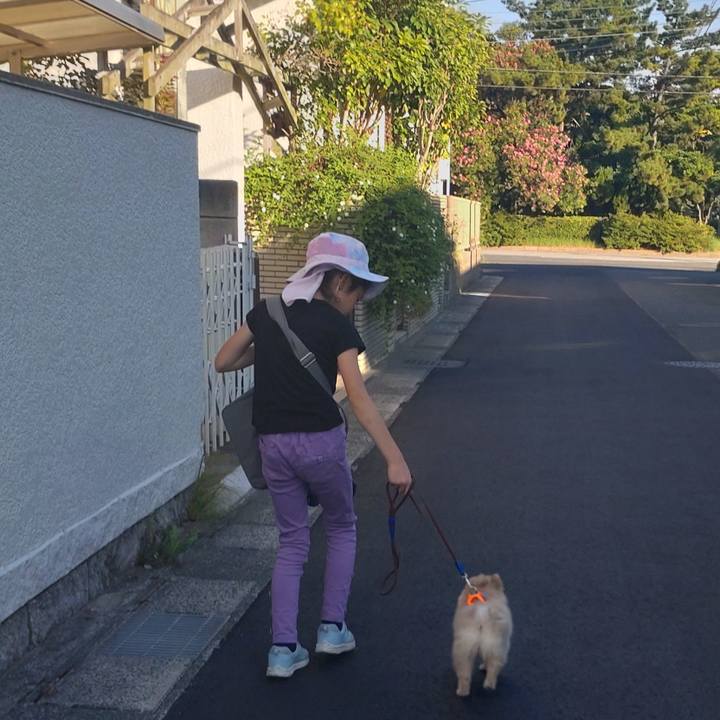 B4fc8e20 840f 4c5c 86f6 b267ed0e814e 1723679933282