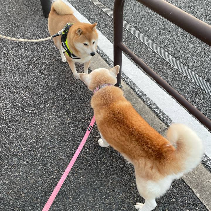 B4fcacc9 b106 4b18 a795 98aab0c70391 1670454899431