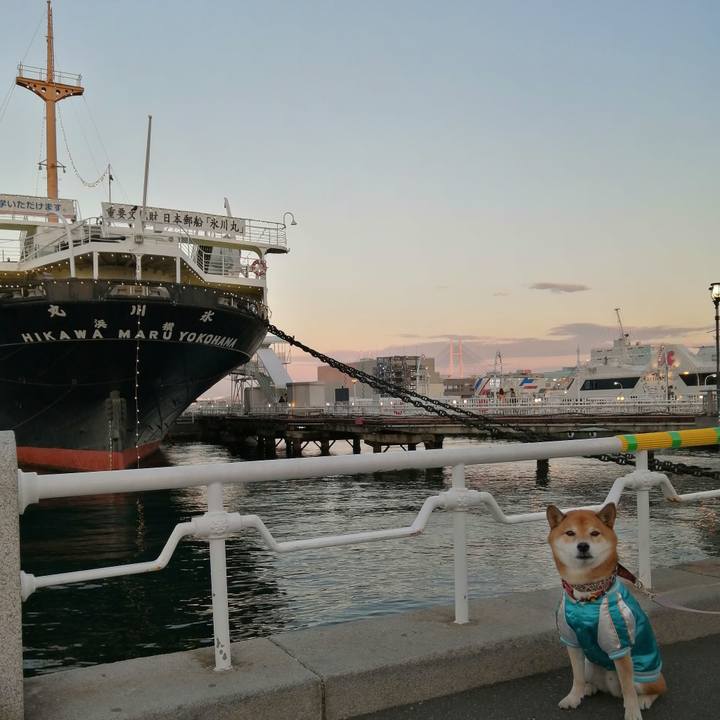 B4fcba36 b764 46f3 9853 89a6f58fc013 1639365101969