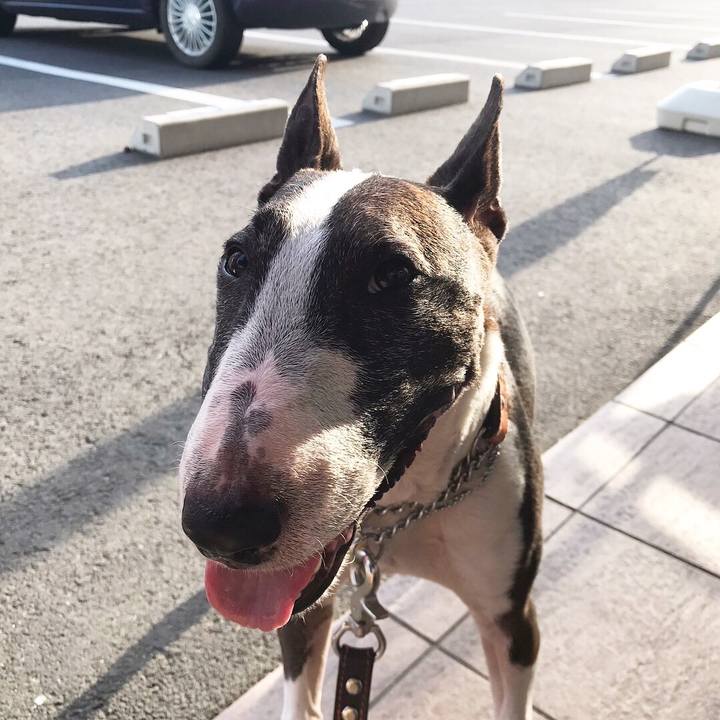 B4fcbe3d 1b2c 4022 b392 333e588af3c2 1524394509093