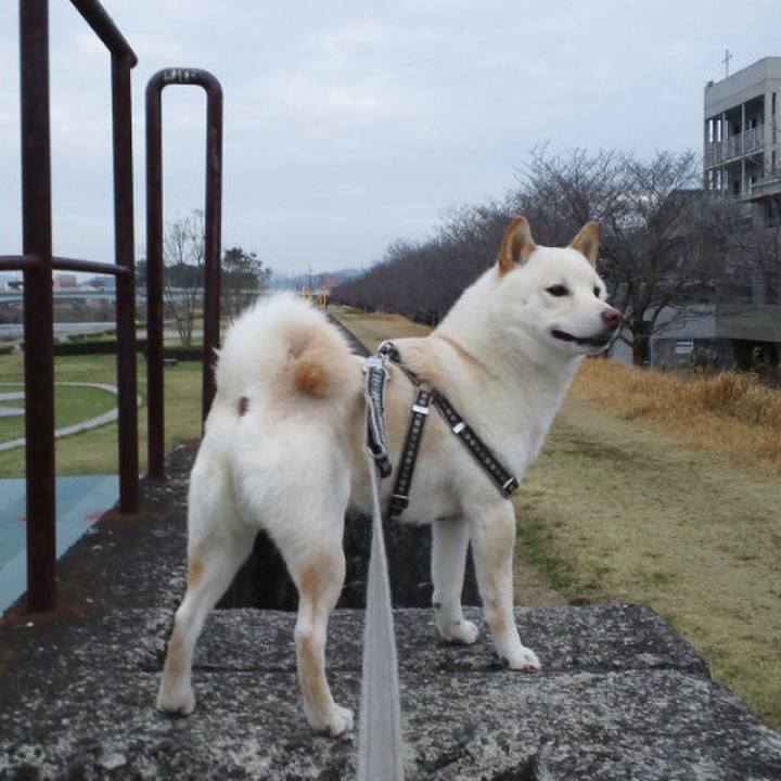 B4fd8e6d f317 4870 9f23 c1953e9c8606 1656511417969