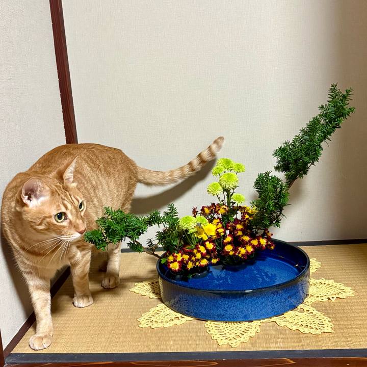 B4fdeabd 7d6b 4b20 9b6e fa8f74078842 1764313882547