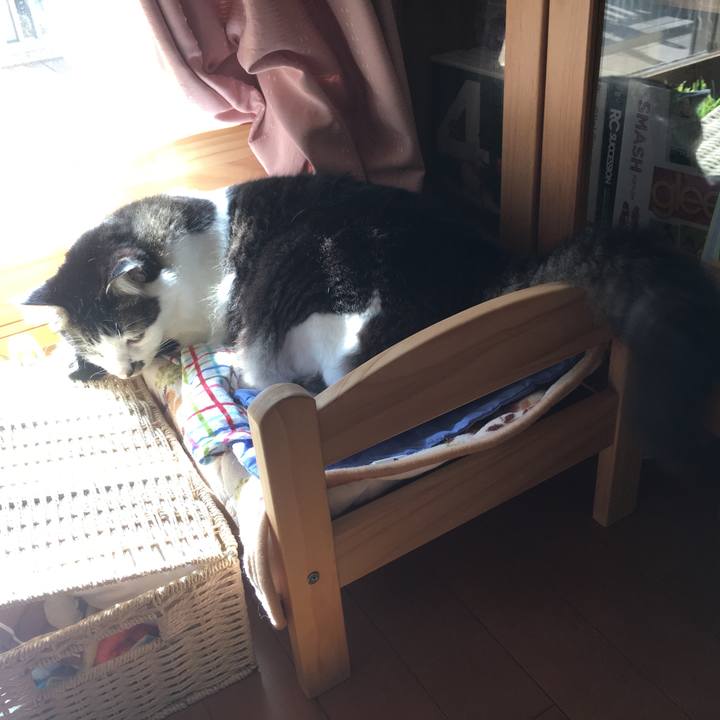 B4fdfdc0 b7e6 41f0 871a 11f75f3f0aaf 1550713935029