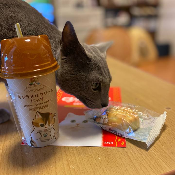 B4fe2479 83a0 4d5d 92e0 735b82f763b3 1677477699606