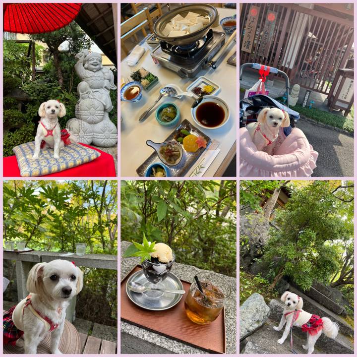 B4fe2768 e07a 4eb6 b73d 5827cac0f01d 1665657628361