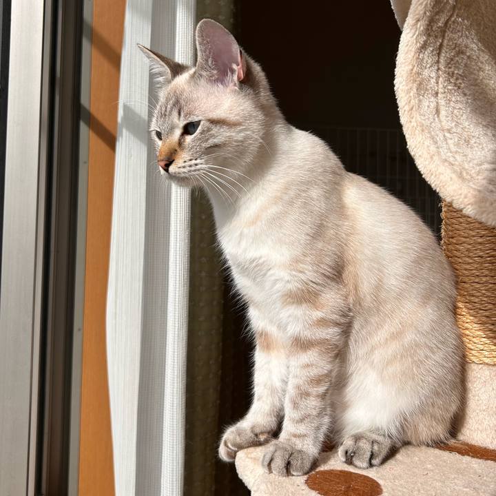 B4fe40d4 c396 4458 98ba 05608f144194 1733714704823