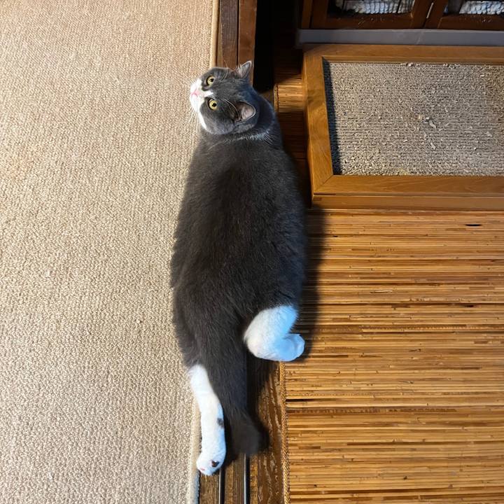 B4fe48bb 5c0c 4377 94df 366264d9e3b4 1725070659245