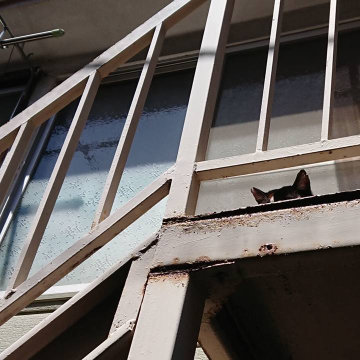 B4fe7fe1 17d2 4bf0 80b1 8fe770c93f19 1651292698027