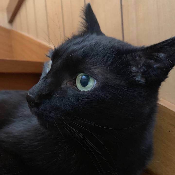 B4fe8bb1 6d85 49ec b9a3 03dde6c9680a 1557105678572