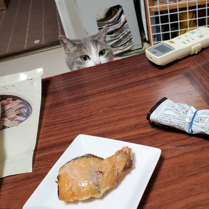 B4feafec 94e5 4d4a 9b24 dd04bf1e0e4a 1695181259536