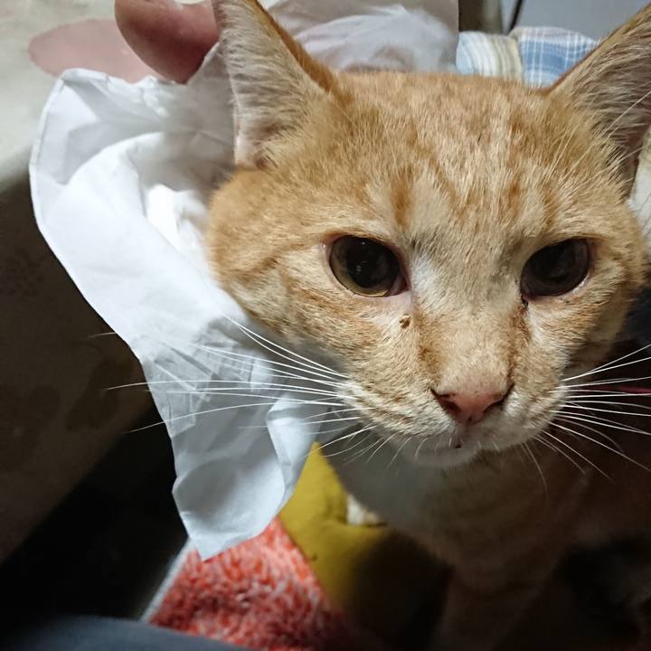 B4fec91e 5164 470b 82c6 e1c36a6e98bd 1571951463433