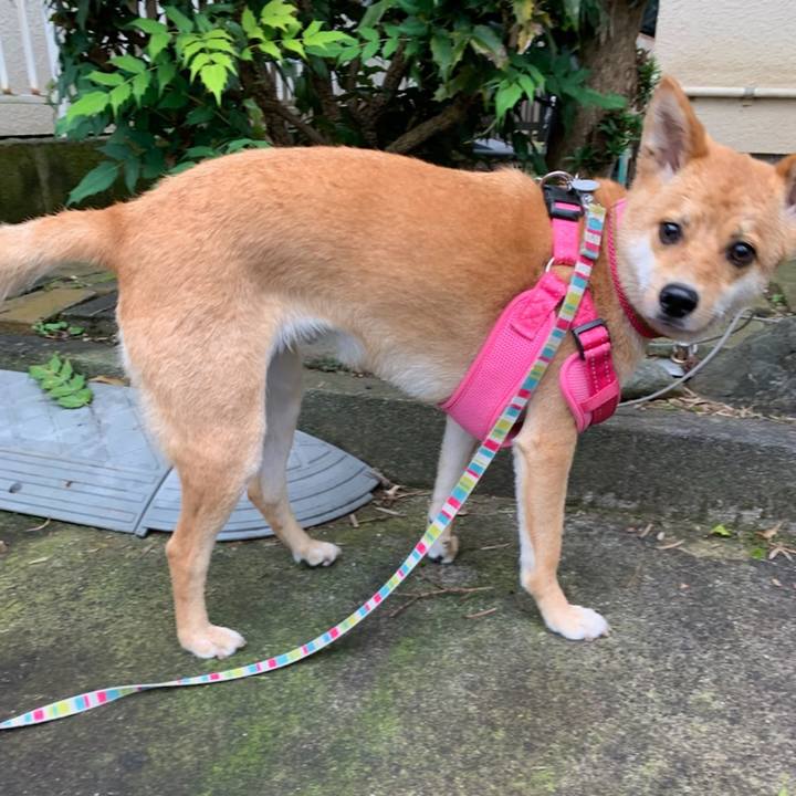 B4fefc66 7f9c 4a13 8c0d b7c7918c406d 1563958374594