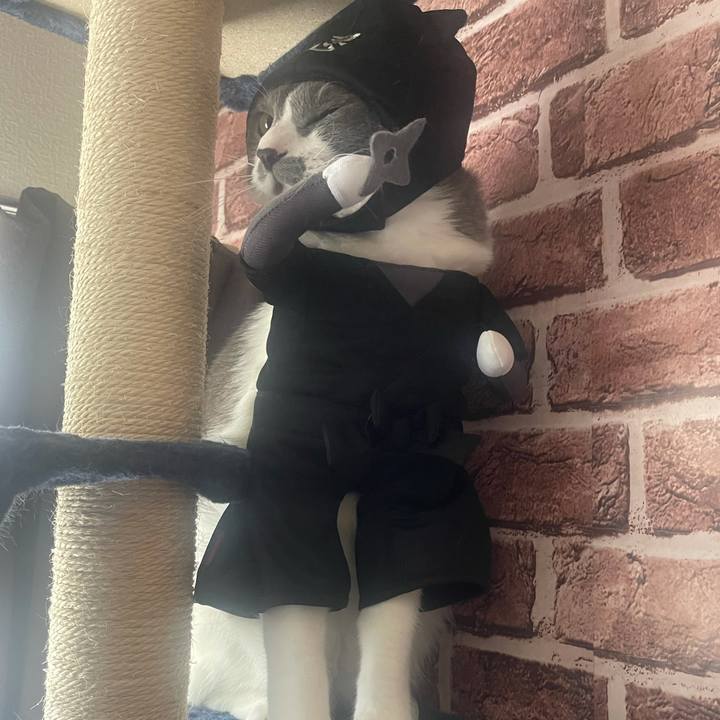 B4ff0dae 7053 4f79 983b 2ab1c9b56d2d 1635661889376