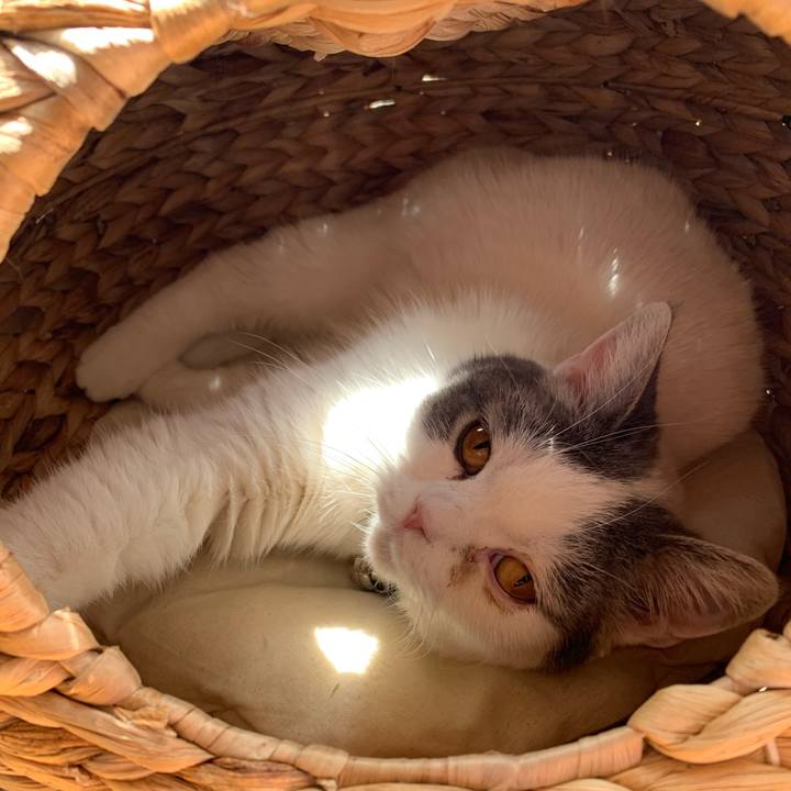 B4ff118a 1820 417f 9233 aa0539fadaef 1632443430711