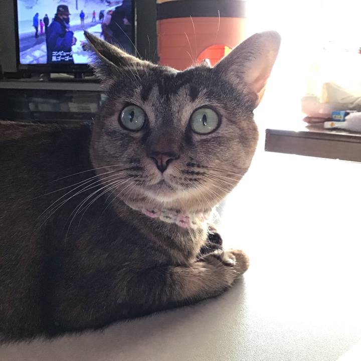 B4ff1583 ecc3 4d17 845f f80a1ec64a91 1700047230188