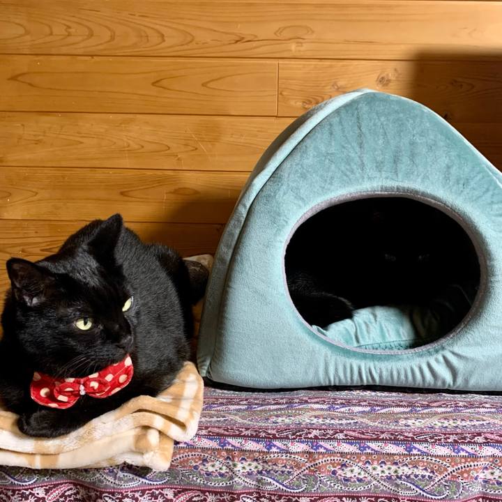 B4ff4c78 fd06 4561 9025 745184db3e66 1674293532114