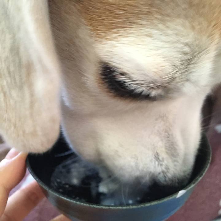 B4ff552a ee6f 457f 9cc5 b3ffc4eb7e28 1540443298100