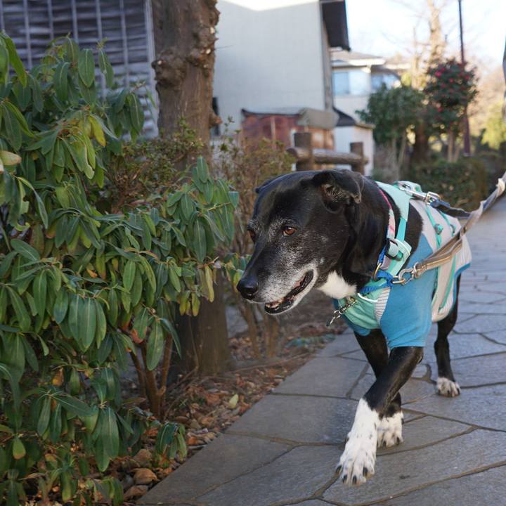 B4ff6872 e741 4137 98c0 e35ee0f44c7e 1769907790567