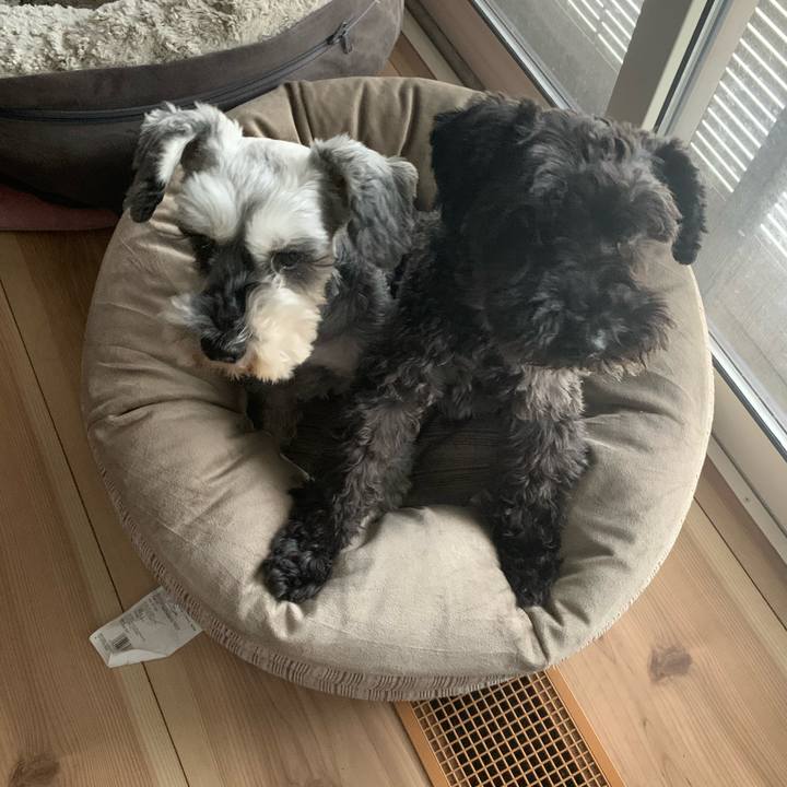 B4ff9c13 d833 489e 95cb 106395143ec1 1689998789659