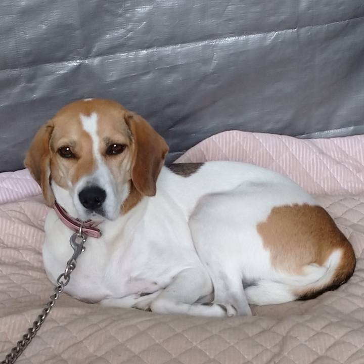 B4ffaf44 e55a 441d 879a 77c13b4d306d 1601856561265