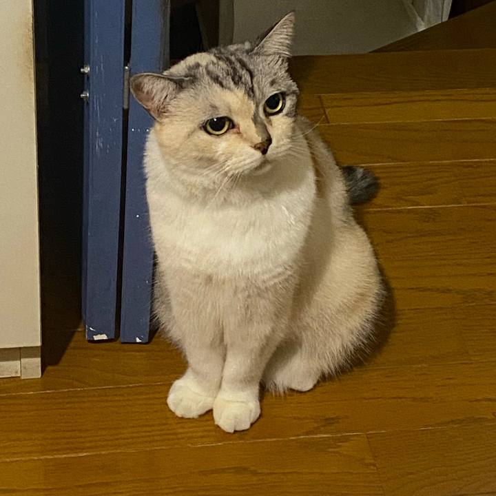 B4fffac6 f82e 42b4 9f1e 2cfa773eb3ee 1660856913770