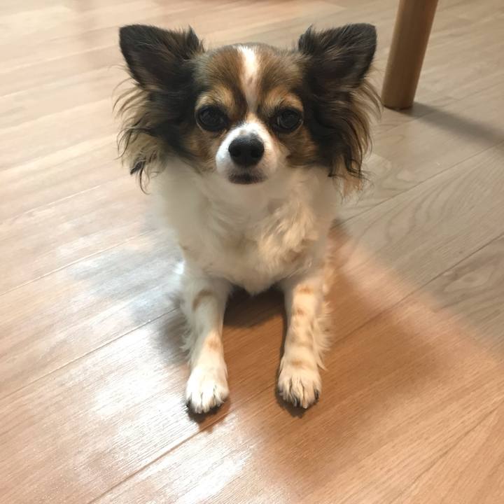 B5005b6b 0535 4949 89c8 d49353310410 1567353614314