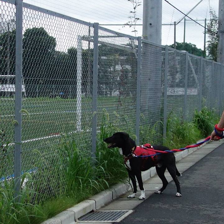 B5008c78 800f 4f5b be16 d9d9001c7ff7 1596028376634