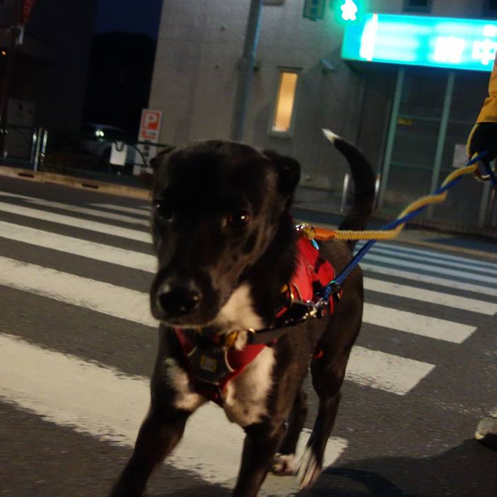 B500c3a4 71ca 41fb a65f b269db4060eb 1585651722122