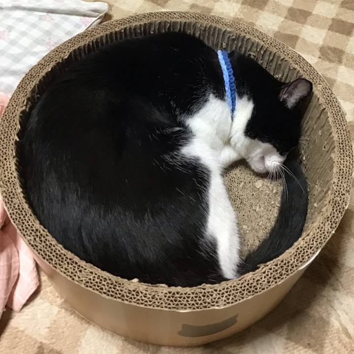 B500e3b6 06ad 46c2 bd62 56c5975c2527 1730626407196