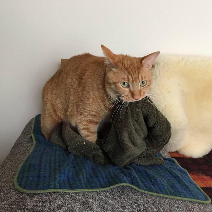 B500ef1e b840 4d18 b16e 33c8a7e9b7f1 1603509275416