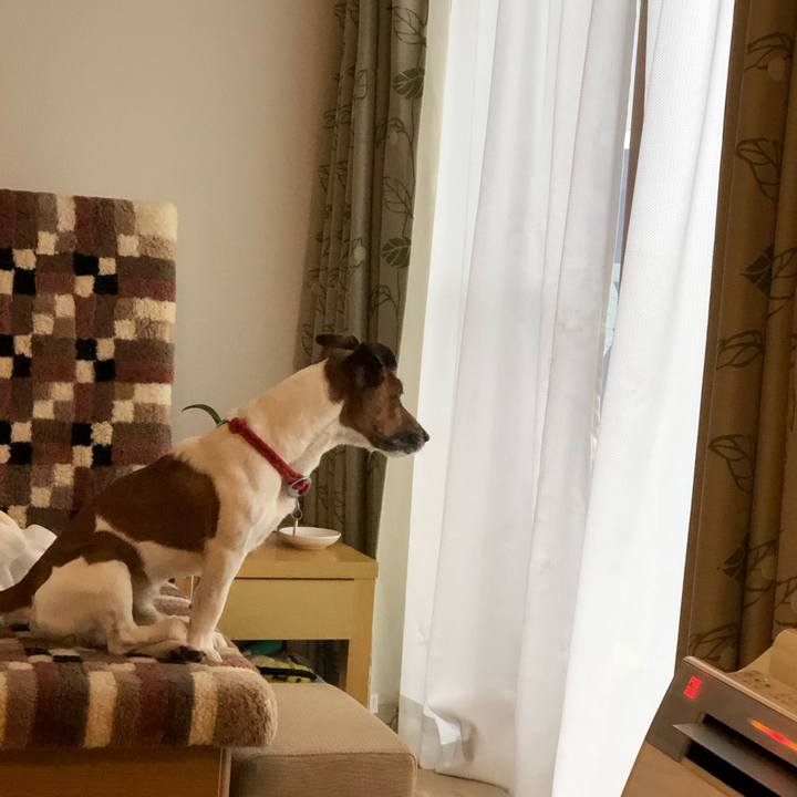 B5012d13 8252 4df2 97bb 53fb0cf5ca77 1583796799302