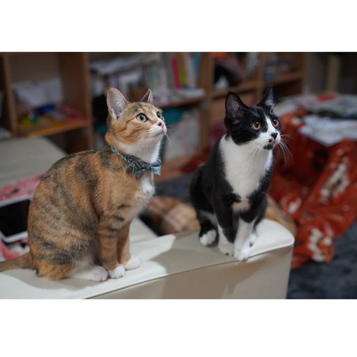 B5019167 89b8 4e25 82e8 b812eae9bbb7 1581982715320