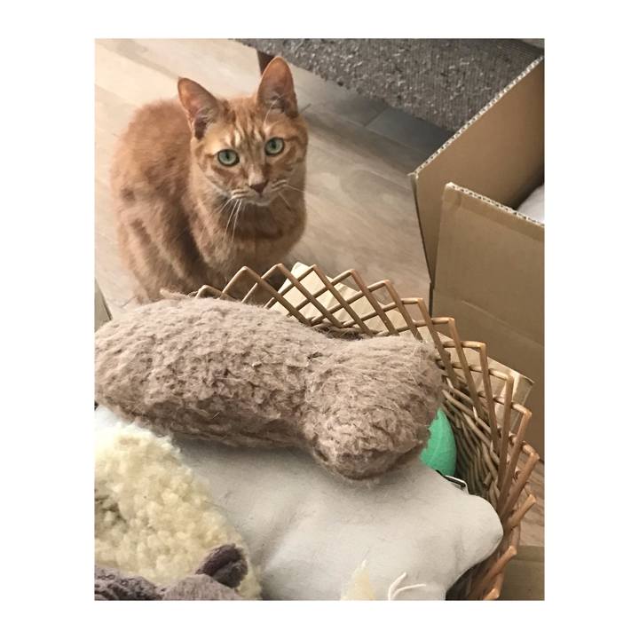 B501c5a4 5d48 4b91 9066 8b965e802556 1650863235124