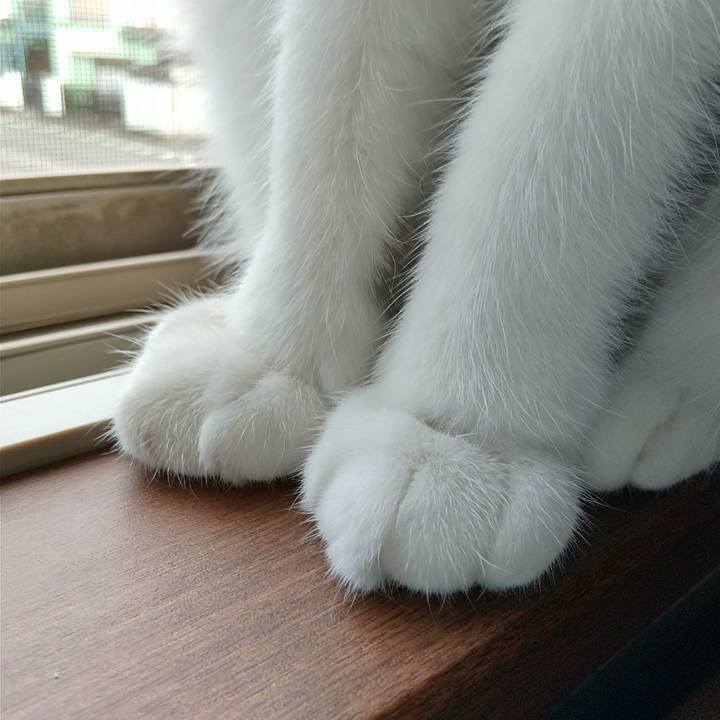 B50228eb d825 4f42 b2e9 6bde111c0578 1603320072349