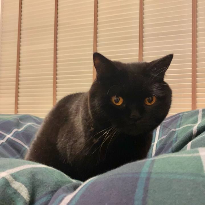 B5023111 0a28 45e0 a335 4c3c888f89b5 1641991155384