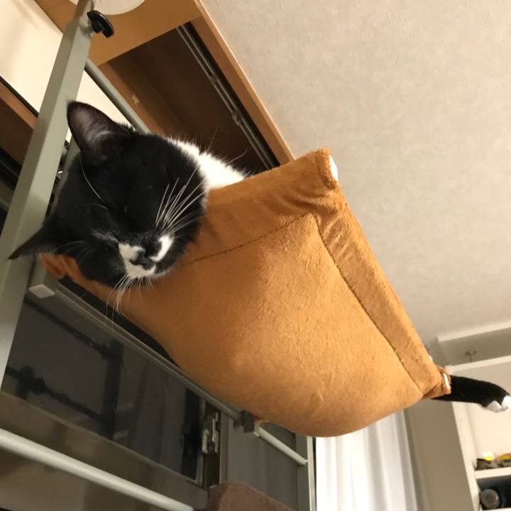 B5026390 0644 4b63 ba01 dc0b3edd49b8 1517802143286