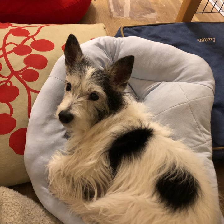 B5026e1e 1dc8 413e b10a 4770caf5e2c7 1587904455090