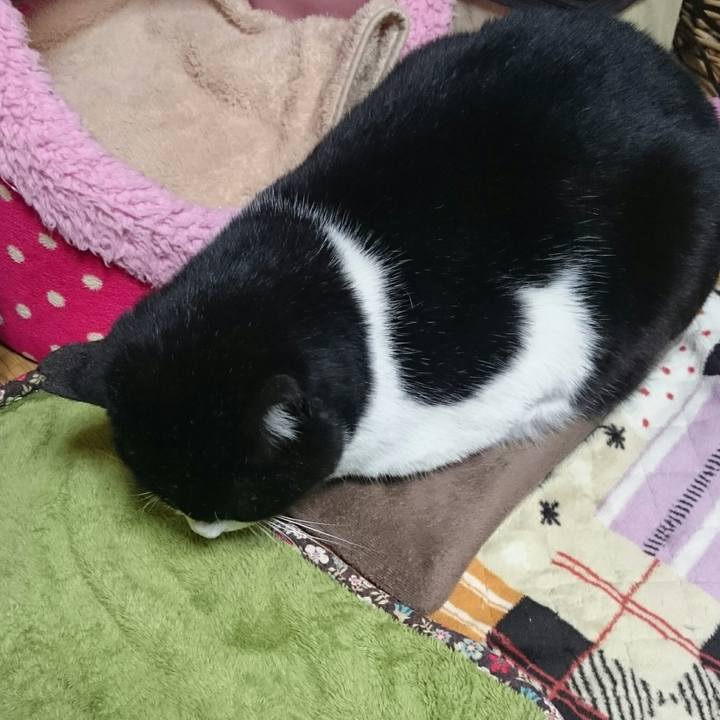 B5027744 b416 46f8 881f a719946dff1c 1517650446625