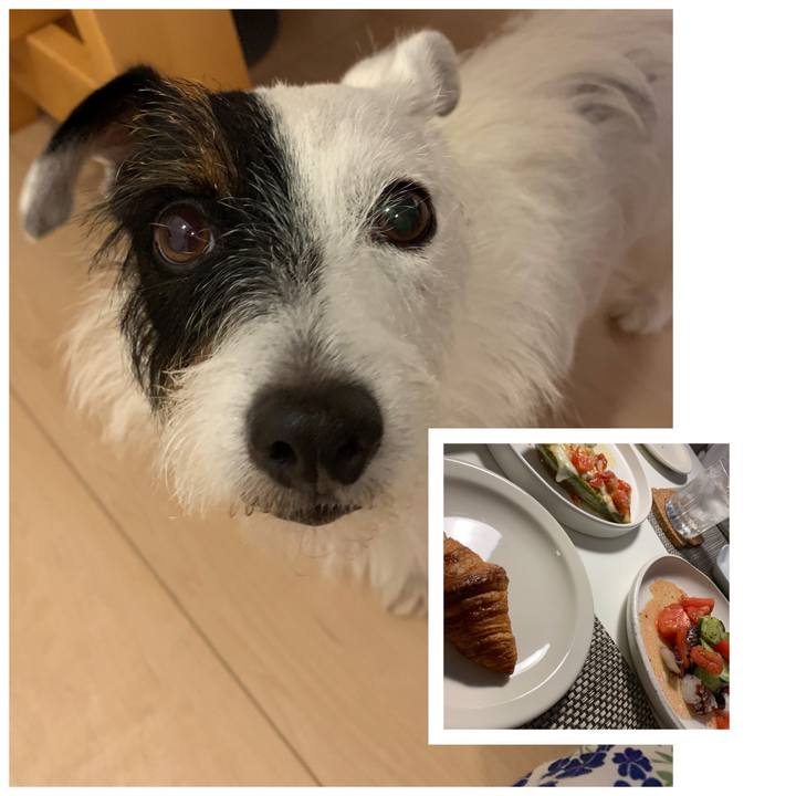 B502b084 506f 4c65 a63f 60c7f7f8186f 1567847762260