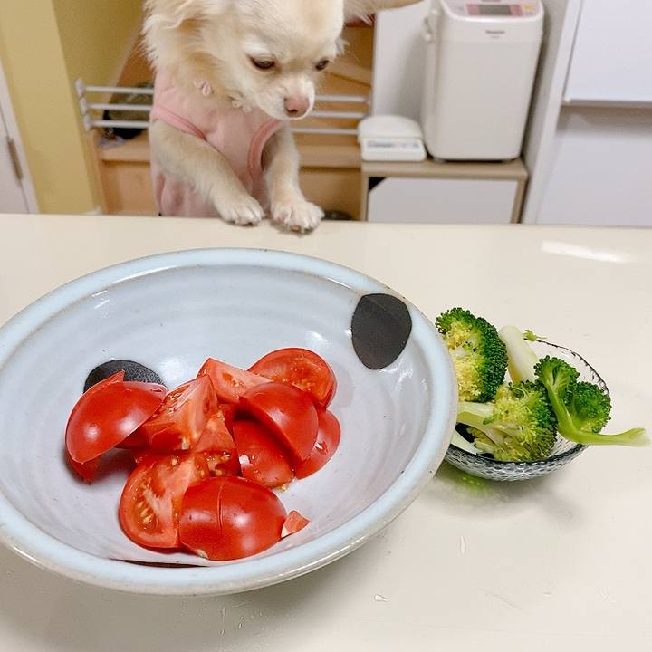 B502bba0 3d2e 432d bf56 7d4fff34c868 1615260359797