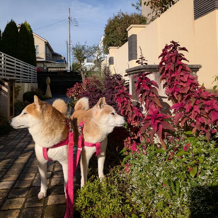 B502f7e3 c6b9 43db a35a 7cc0ed735882 1761967662102