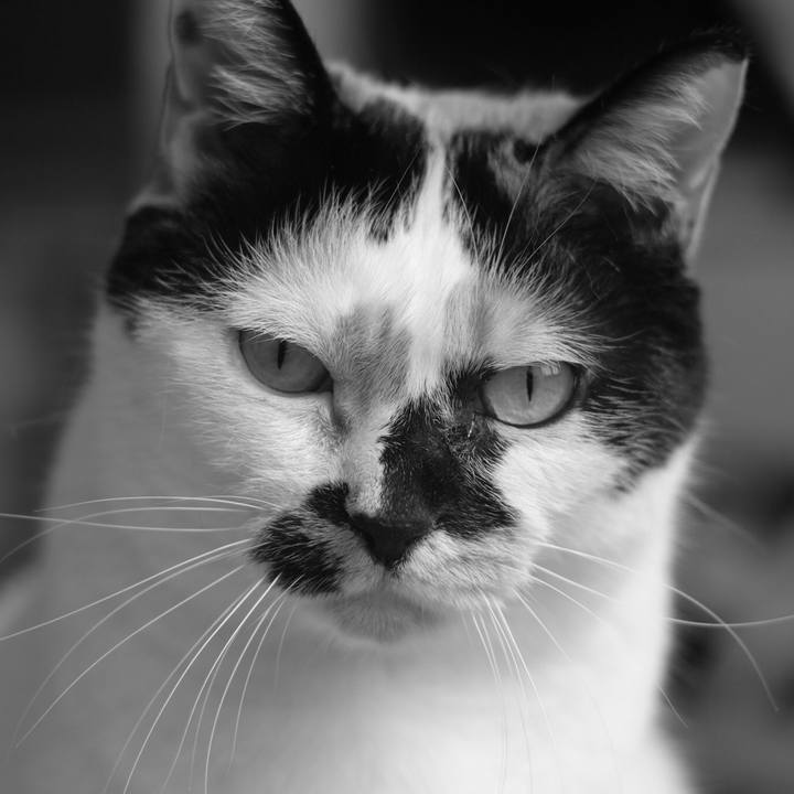 B50313c5 751b 496f bfd1 7b55f7a6d522 1551879168298