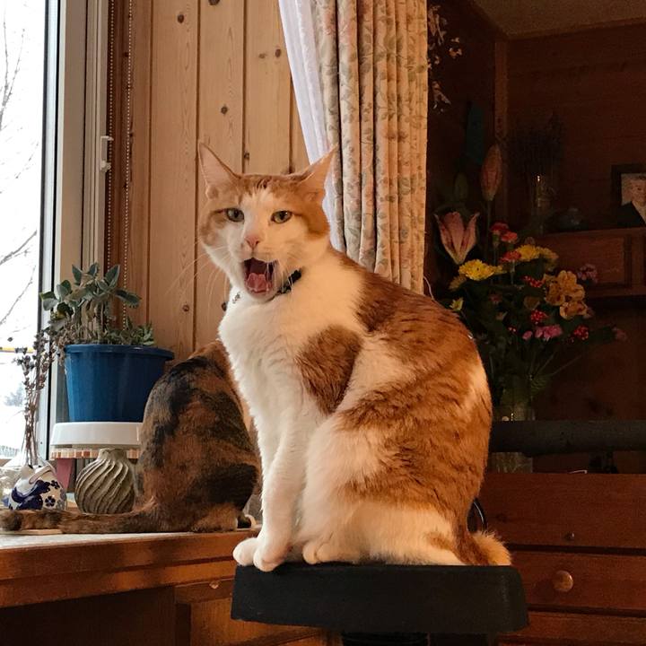 B503778a ebc1 4be9 9966 91d7ed4e6a93 1609280568189