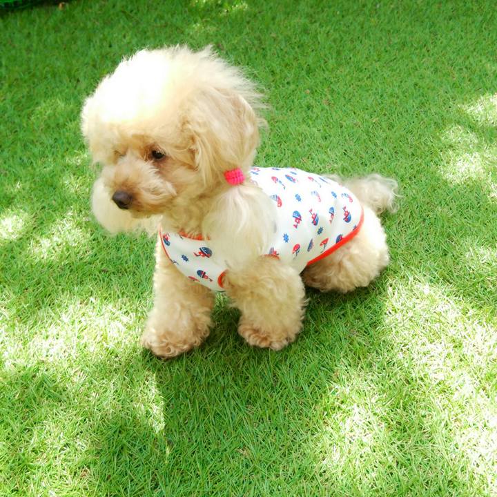 B5037aa0 73cb 4ba8 ac45 791044696ffa 1538646767014