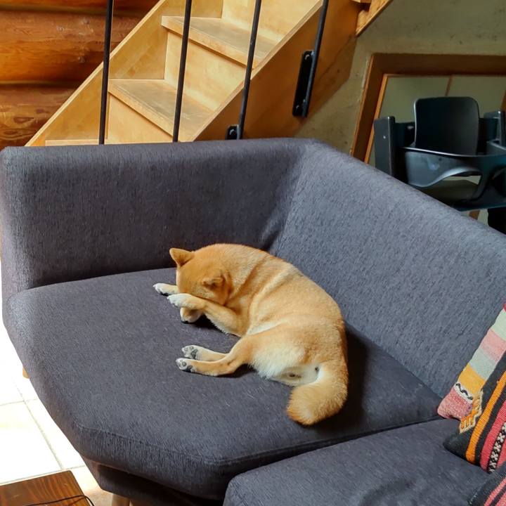 B5039a60 caa7 4fdf bff2 bb40d07e47a6 1655703642302