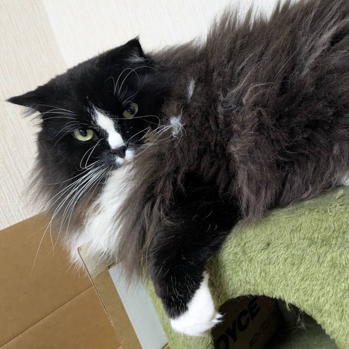 B503a42f a17c 44fe 805e a120bc2f296f 1762948222544