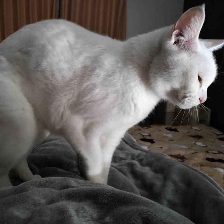 B5042132 bbc3 48d9 b850 3961f08daa72 1772264724284