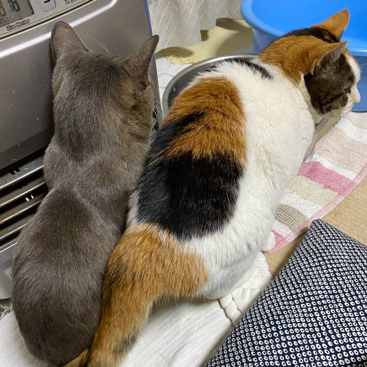 B5043246 ea02 420d 9660 718b8dbfc9c4 1611992006076